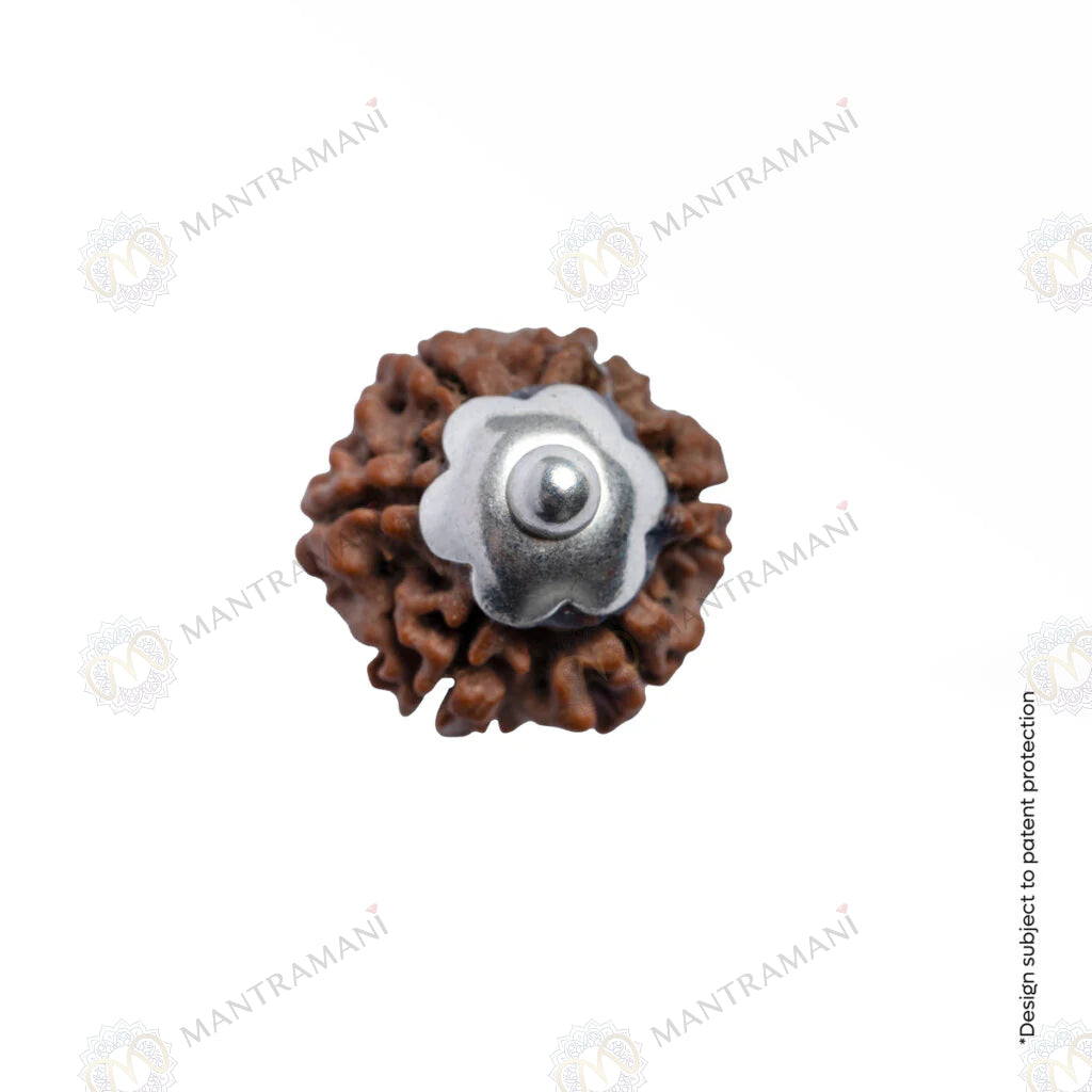 MantraMani® Adiyogi Shiv 7 Mukhi Rudraksha Pendant