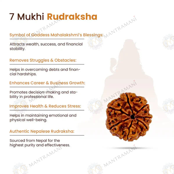 MantraMani® Adiyogi Shiv 7 Mukhi Rudraksha Pendant