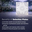 MantraMani® SELENITE (Chandramani) – Yantra & Plate | Cleansing, Charging other