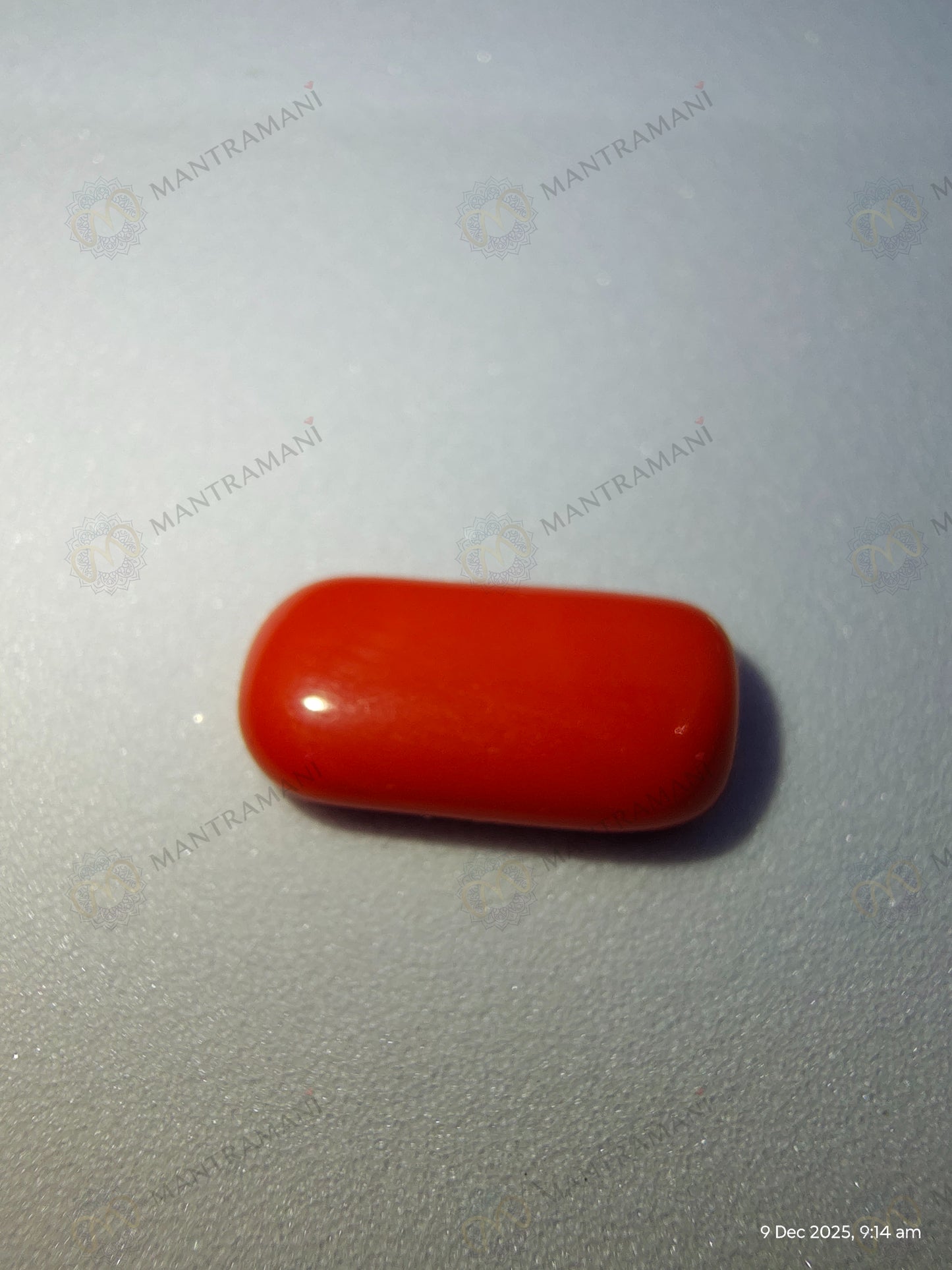 MantraMani® Angel Skin Coral (Moonga) Stone for Emotional Healing, Mars Balance & Protective Strength