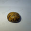 MantraMani® Sang-e-Maryam — Premium Raw Healing Stone for Emotional Balance