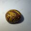 MantraMani® Sang-e-Maryam — Premium Raw Healing Stone for Emotional Balance