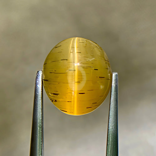 MantraMani® Cats Eye (Lahsuniya) — Certified Natural Loose Gemstone