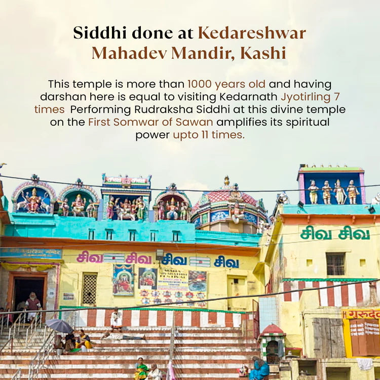 Kashi Siddh Nepal Origin 7 Mukhi Rudraksha - 18mm - 22mm