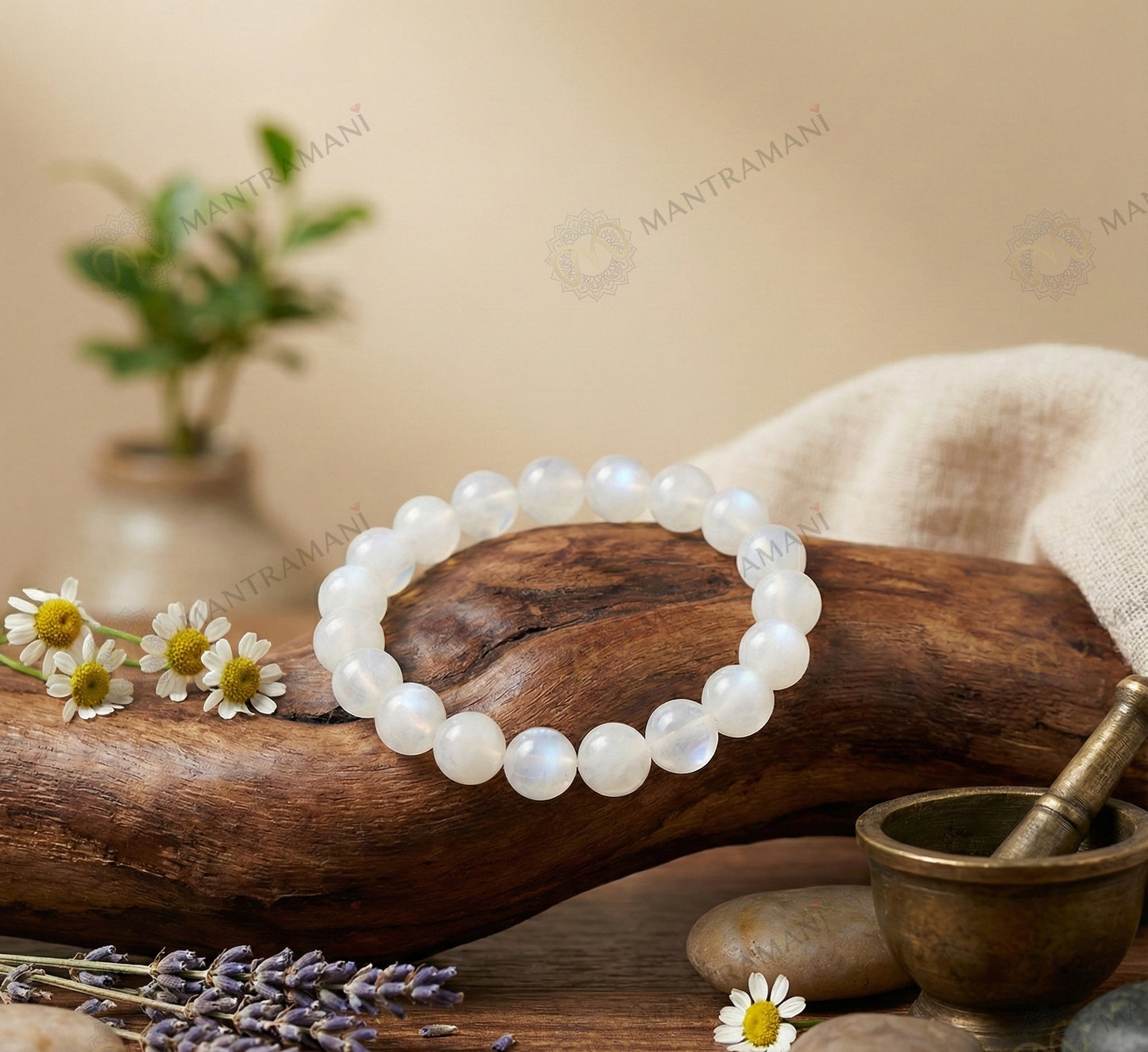 MantraMani® Lunar Grace™ – Signature Moonstone Bracelet for Women | Feminine Energy, Fertility Support & Hormonal Balance | Calm, Clarity, Emotional Healing & Inner Peace