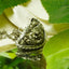 Pyrite Crystal Fancy Pendant