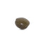 MantraMani® Cats Eye (Lahsuniya) — Certified Authentic & Natural Gemstone