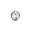 MantraMani® Cats Eye (Lahsuniya) — Certified Authentic & Natural Gemstone