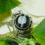 MantraMani® Sulemani Hakik Crystal Pendant | Natural Agate Pendant for Protection, Grounding & Spiritual Wellness