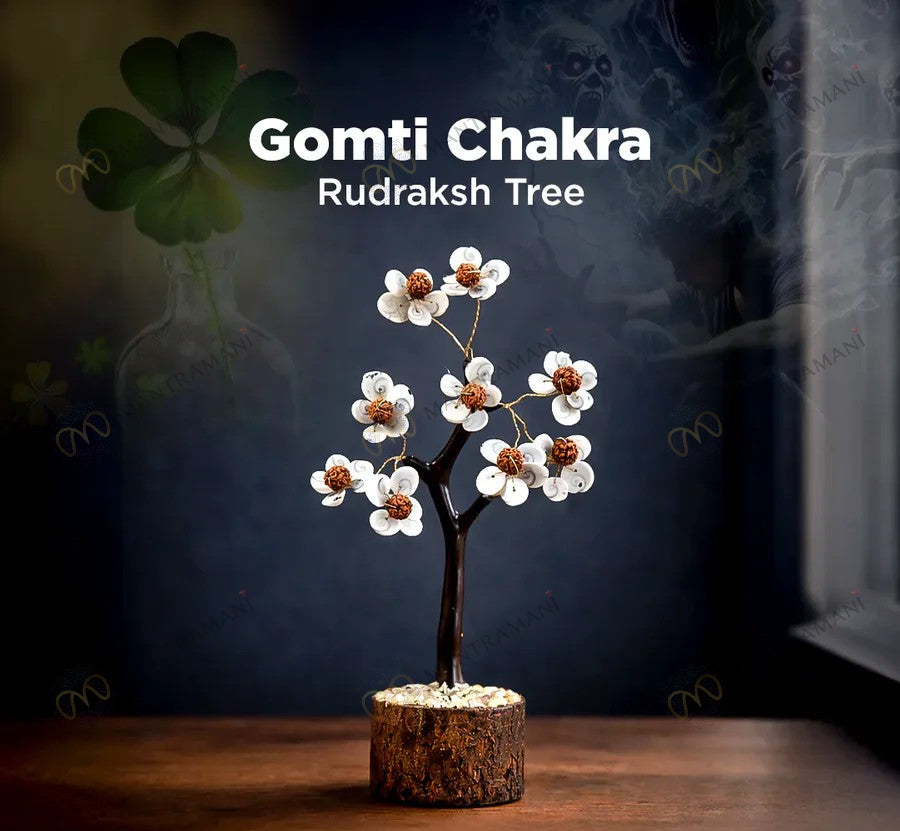 MantraMani® Gomti Chakra & Rudraksh Tree – Protection, Stability & Positive Energy