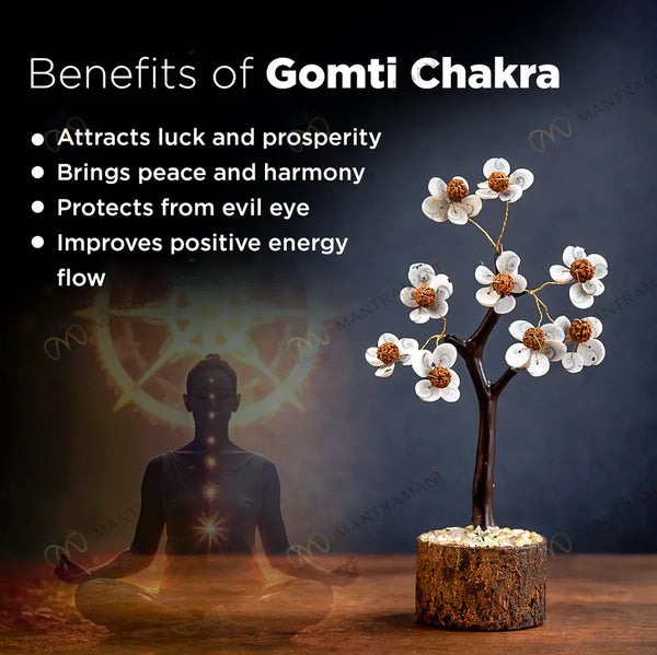 MantraMani® Gomti Chakra & Rudraksh Tree – Protection, Stability & Positive Energy