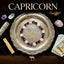 MantraMani® Capricorn Zodiac Birthstone Crystal Bracelet- 8 mm- Makar rashi crystal bracelet