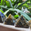 MantraMani® Labradorite Pyramid – Protection, Intuition & Spiritual Growth Crystal