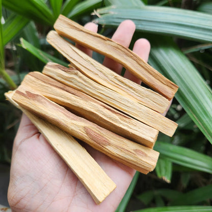 MantraMani  Peruvian  Palo Santo Smudging & Cleansing Sticks for  Sacred wood • Energy purification • Calm &amp; clarity