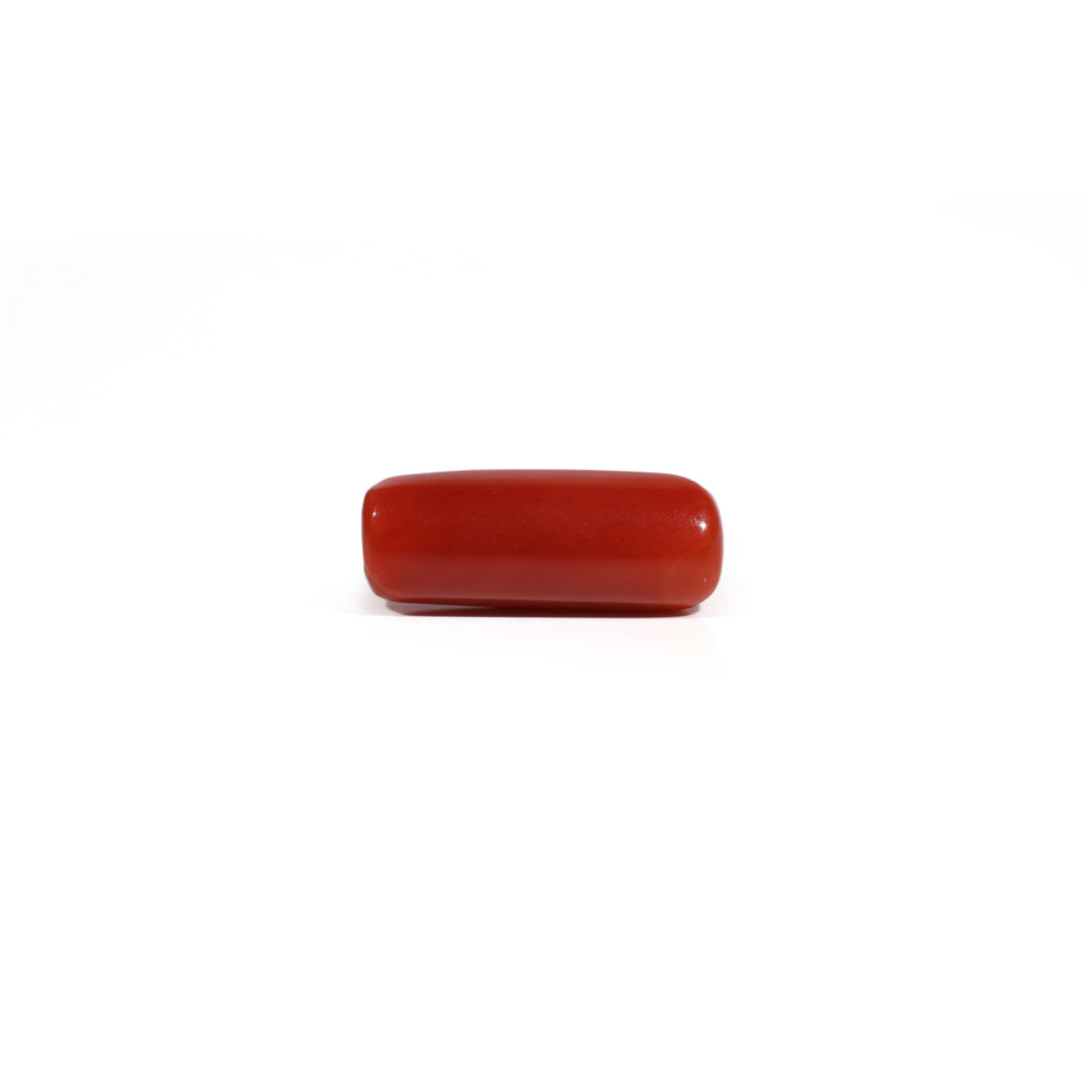 MantraMani® Red Coral (Moonga) — Certified Authentic & Natural Gemstone