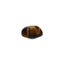 MantraMani® Tiger Eye (Viyaghra Netra) — Certified Authentic & Natural Gemstone
