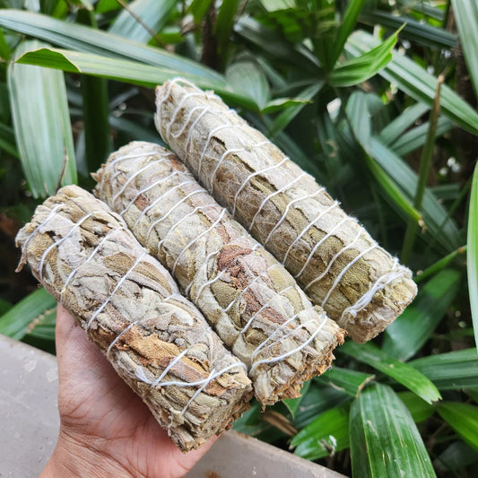 MantraMani Himalayan Organic White Sage Smudge Stick for Sacred cleansing • Aura purification • Himalayan energy - MantraMani® Authentic Vedic Gemstone